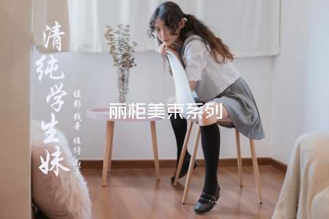 丽柜美束系列